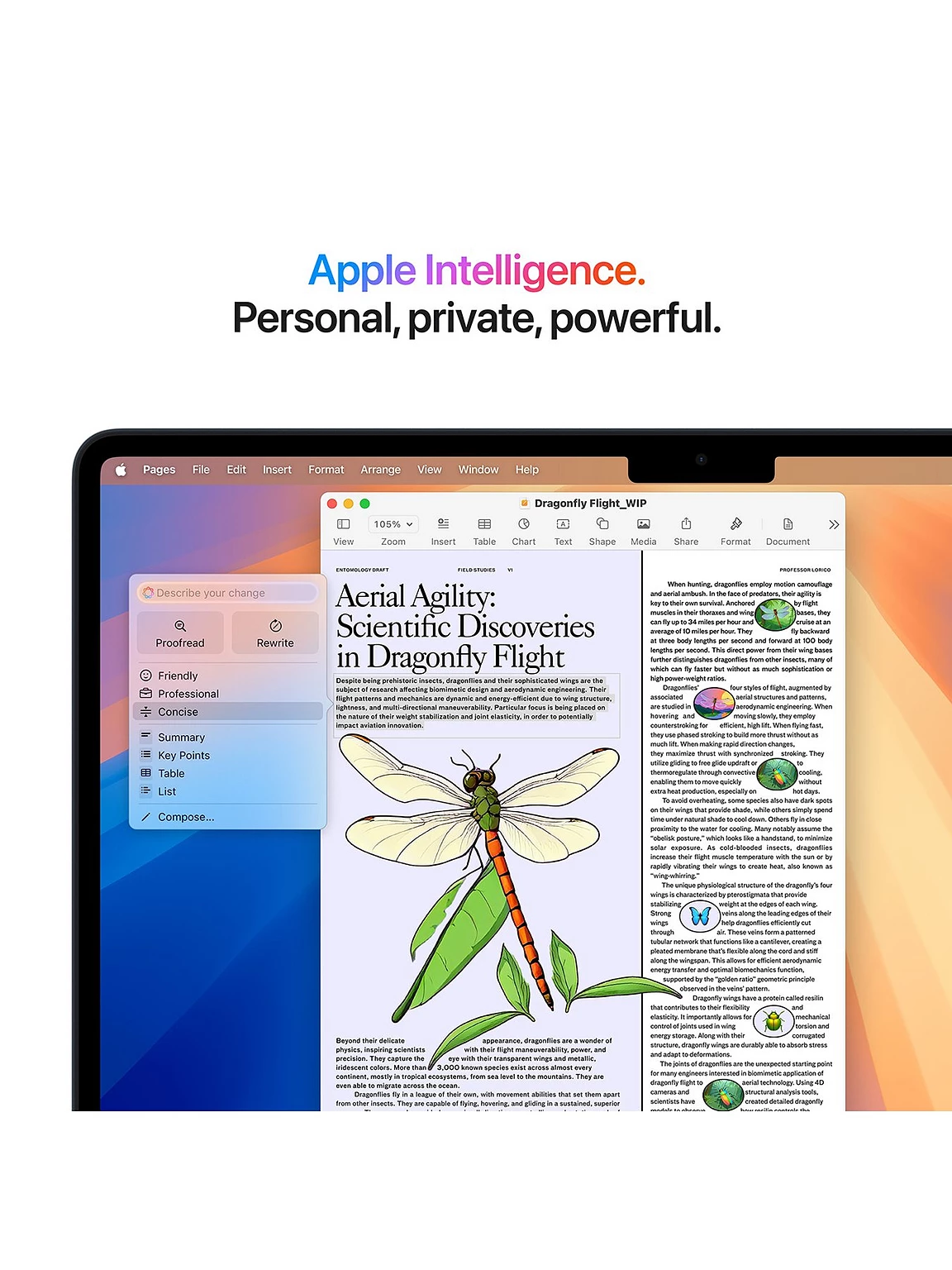 WHHNV_SQ4_0000000976_MIDNIGHT_SLd