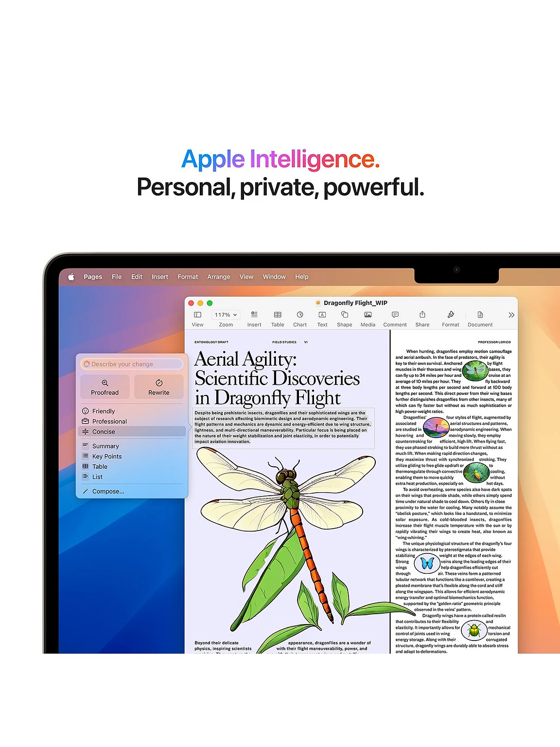 WHHQH_SQ4_0000016239_STARLIGHT_SLd